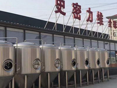 泰来精酿啤酒设备厂—如何判断精酿啤酒设备的密封件需要更换？